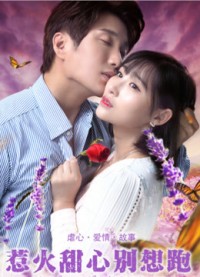 Phim Cô Em Nóng Bỏng, Đừng Cố Bỏ Chạy - Honey, I demand your love (2018)