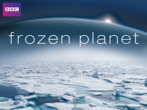 Phim Hành Tinh Băng Giá - Frozen Planet (2011)