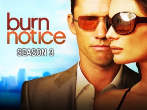 Phim Lệnh Thanh Trừng (Phần 3) - Burn Notice (Season 3) (2009)