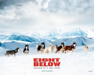 Phim Những Chú Chó Dũng Cảm - Eight Below (2006)