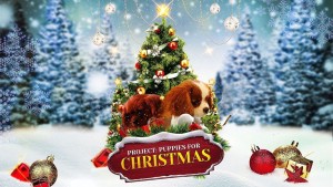 Phim Quà Giáng Sinh Bất Ngờ - Project: Puppies for Christmas (2019)