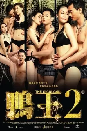 Phim Trai Bao 2 - The Gigolo 2 (2016)