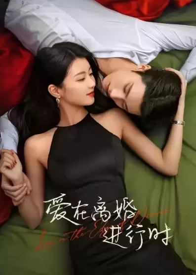 Phim Yêu Khi Sắp Ly Hôn - Love on the Edge of Divorce (2025)